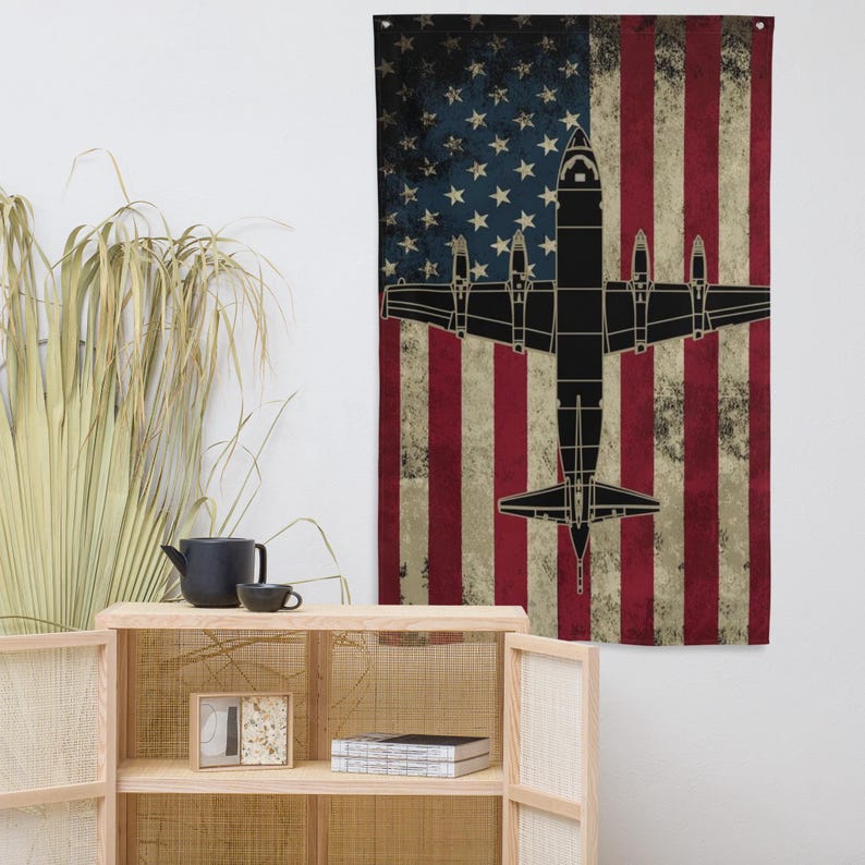 P-3 Orion U.S. Flag