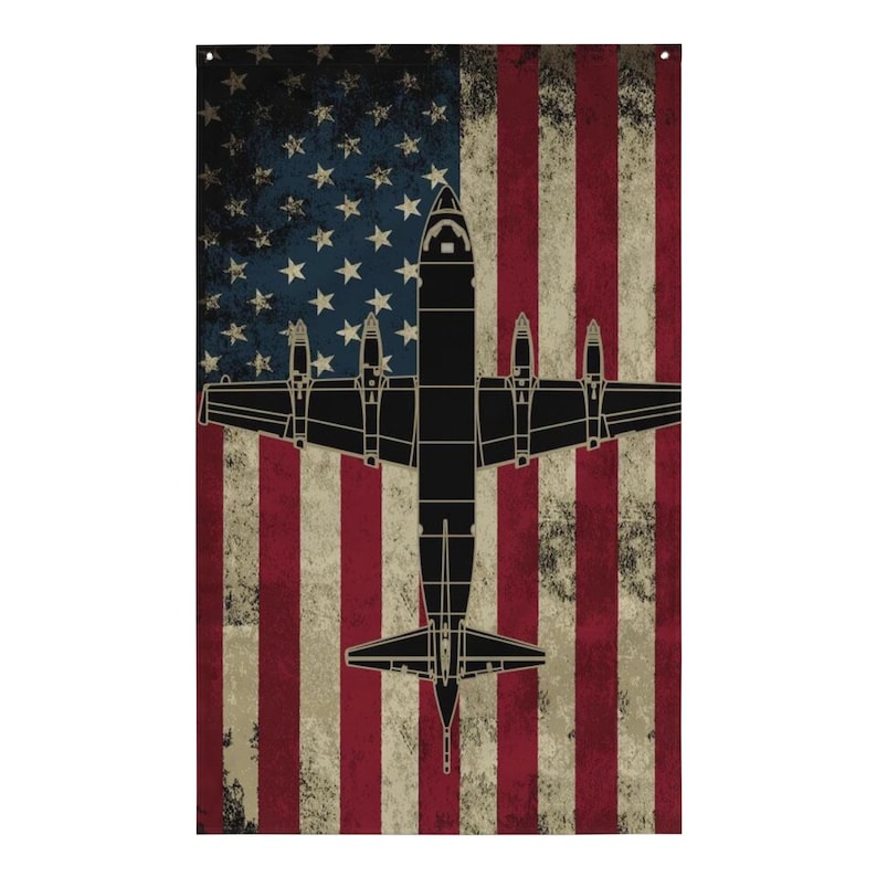 P-3 Orion U.S. Flag