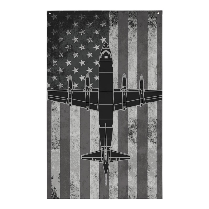P-3 Orion Flag (Shadow)