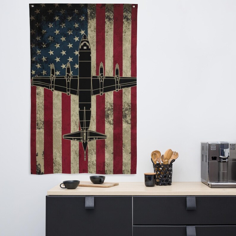 P-3 Orion U.S. Flag
