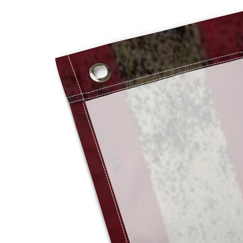 F-22 Raptor U.S. Flag