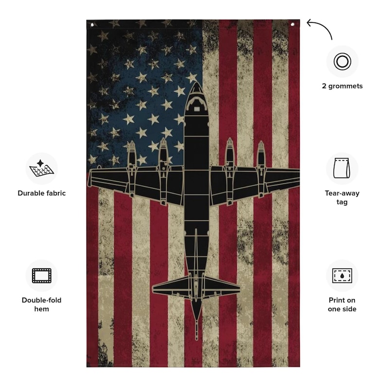 P-3 Orion U.S. Flag