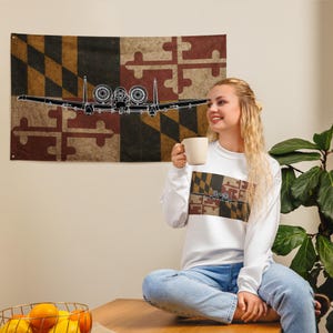 A-10 Warthog Maryland Flag Head On