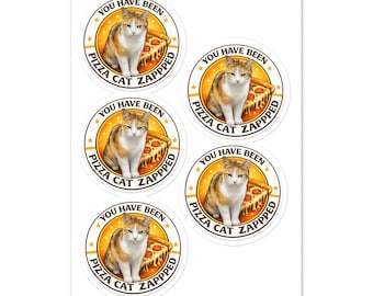 Pizza Cat Zapped Sticker – Aviation Humor Decal (2.75 Inch Round)