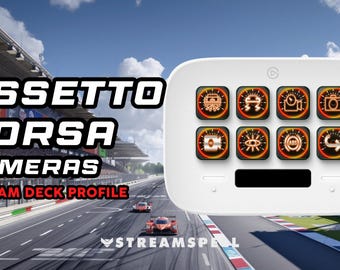 Profil de plate-forme de diffusion de caméras Assetto Corsa