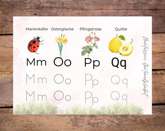 Könnte beinhalten: Ein druckbares Montessori-Alphabet-Diagramm mit Bildern von einem Marienkäfer, einer Osterglocke, einer Quitte und einer rosa Blume. Das Diagramm enthält die Buchstaben M, O, P und Q mit gepunkteten Linien zum Nachzeichnen.
