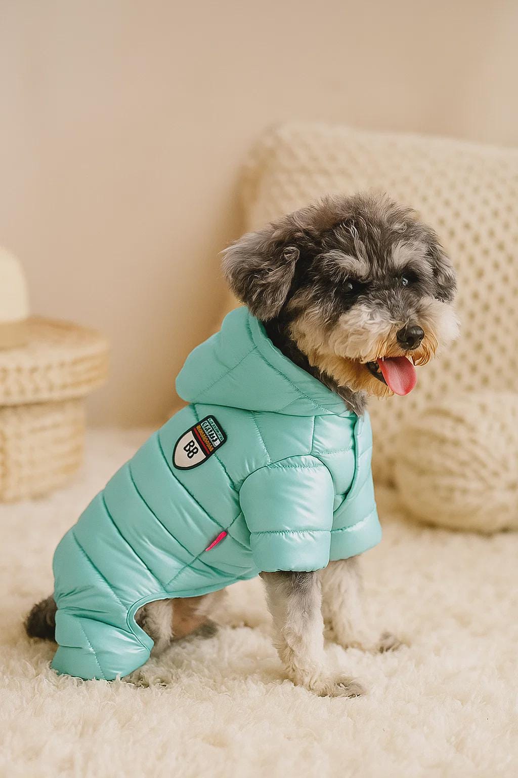 Dog Parka