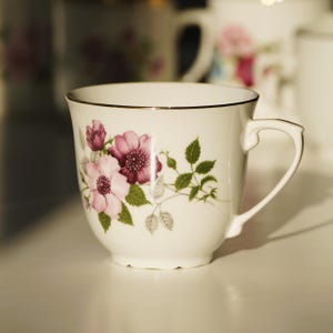 Haas & Czjzek Porcelain Mug from Czechoslovakia 1970s, Vintage Cup with Wild Roses