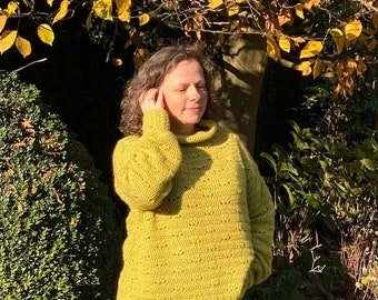 Patron au crochet : Pull Brigitte