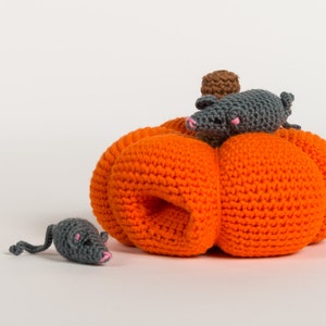 Crochet pattern : Mommy mouse and little mouse and their pumpkin house image 1