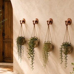 May include: Four copper-toned metal wall hooks are mounted in a horizontal row, each supporting a small, light-coloured ceramic pot held by a natural fibre macrame hanger. Each pot contains a trailing green plant with small, rounded leaves.