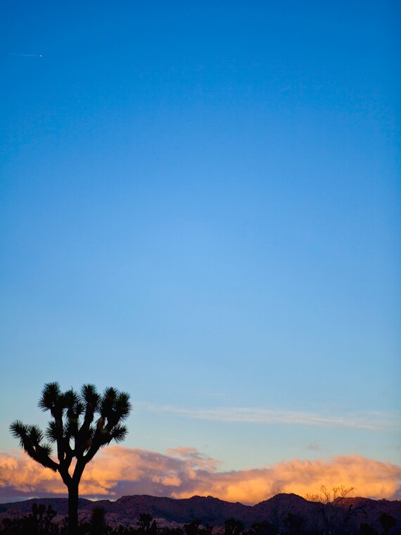 Leaving On A Jet Plane No 1 Limited Edition Etsy