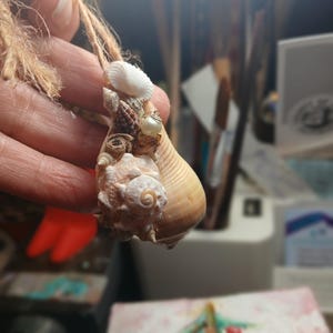 Rustic Natural Seashell Ornament