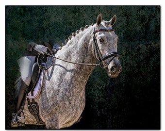 Dressage horse print, Black and white Horse art