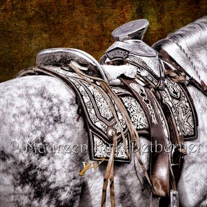 Horse canvas art, Horse pictures Southwest wall art image 6