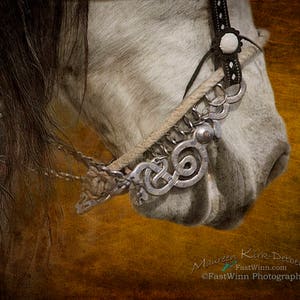 Horse canvas art, Horse pictures Southwest wall art image 9