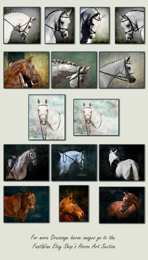 Three Grays Arabian Horse Equestrian art mouse Pad