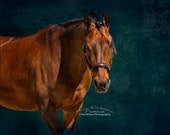 Show horse print, Horse gifts for women