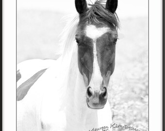 Black and white Horse pictures, equine home decor