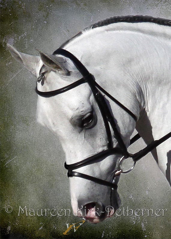 Three Grays Arabian Horse Equestrian art mouse Pad