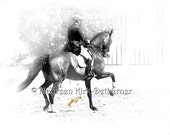Dressage Horse fine art equine photograph black and white bay show horse 16 x 20 large giclee print velvet watercolor paper FastWinn