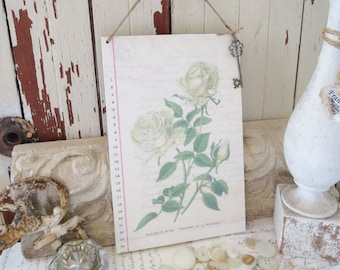 Shabby Chic White Rose Wall Hanging Vintage Style Wall Art. French, Farmhouse, Shabby Chic Cottage Style Wall Home Decor