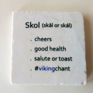 Skol Vikings Coaster
