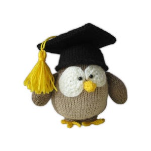 May include: A knitted owl figure wearing a black mortarboard with a yellow tassel. The owl has large white eyes, a yellow beak, and a brown and beige knitted body. A charming, handmade graduation gift.