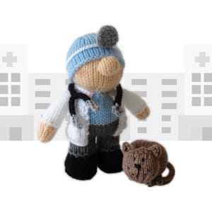 Knitting Pattern: "Victor the Vet" Veterinary Doll and Pet Cat (PDF Download)