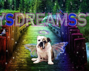 Mix and Match 5 Card Bundle-Bulldog Sympathy Card