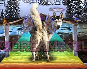 Siberian Husky Malamute Looks Back Crossing the Rainbow Bridge Angel with Halo Wings Pet Loss Memorial Tribute Sympathy Card Wall Art Print|