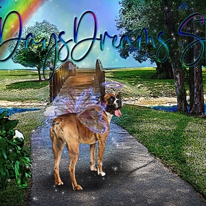 Rainbow Bridge Boxer Dog Memorial Art Print: Pet Loss Sympathy Gift