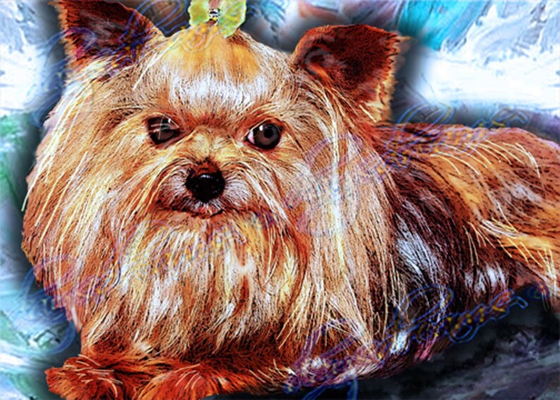 Cutie Pie Longhaired Teacup Yorkshire Terrier Yorkie With Etsy
