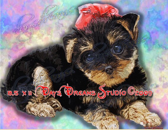 Art Collectibles Cutie Pie Longhaired Teacup Yorkshire Terrier