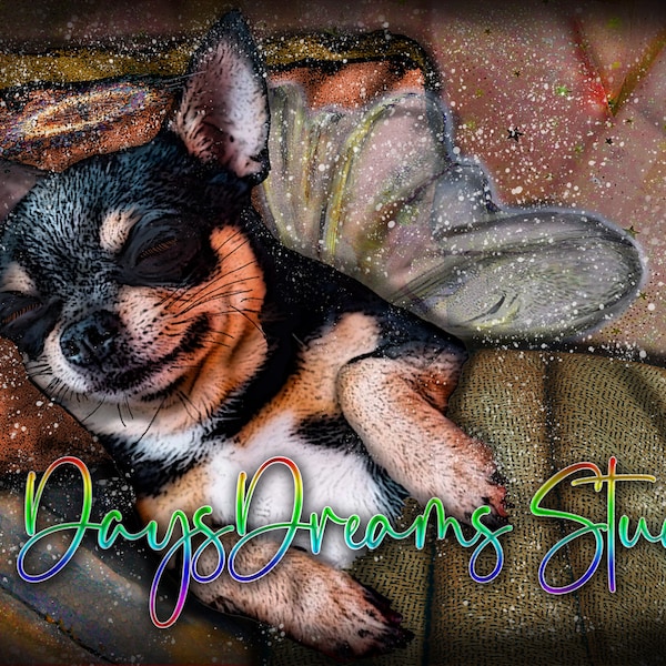 Tricolor Black White Brown Chihuahua Sleeping Wings Angel Halo Pet Loss Memorial Rainbow Bridge Sympathy Loss Art Print Greeting Card | Gift