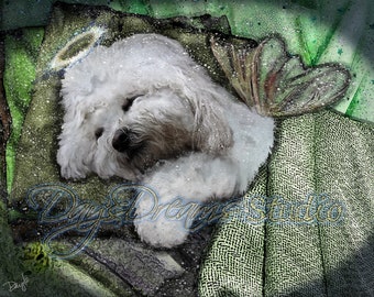 Bichon Frise Poodle Maltese Fluffy White Dog Angel Halo Wings Pet Loss Memorial Rainbow Bridge Tribute Sympathy Card Wall Art Print Gift