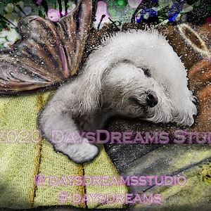 Poodle Bichon Frise Maltese Fluffy White Dog Angel Halo Wings Pet Loss Memorial Rainbow Bridge Tribute Sympathy Card Wall Art Print Gift image 1
