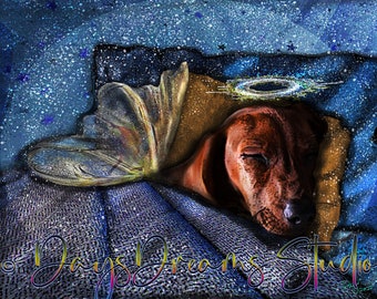 Brown Dachshund Doxie Sleeping Wings Angel Halo Pet Loss Memorial Tribute Sympathy Rainbow Bridge Furbaby Wall Art Print Poster Card Gift