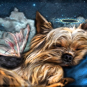 Póster imprimible de Yorkie Heaven Clouds Rainbow Bridge Tribute Angel Halo Floating Peaceful Pet Loss Art, decoración de pared, impresión digital, descarga 4
