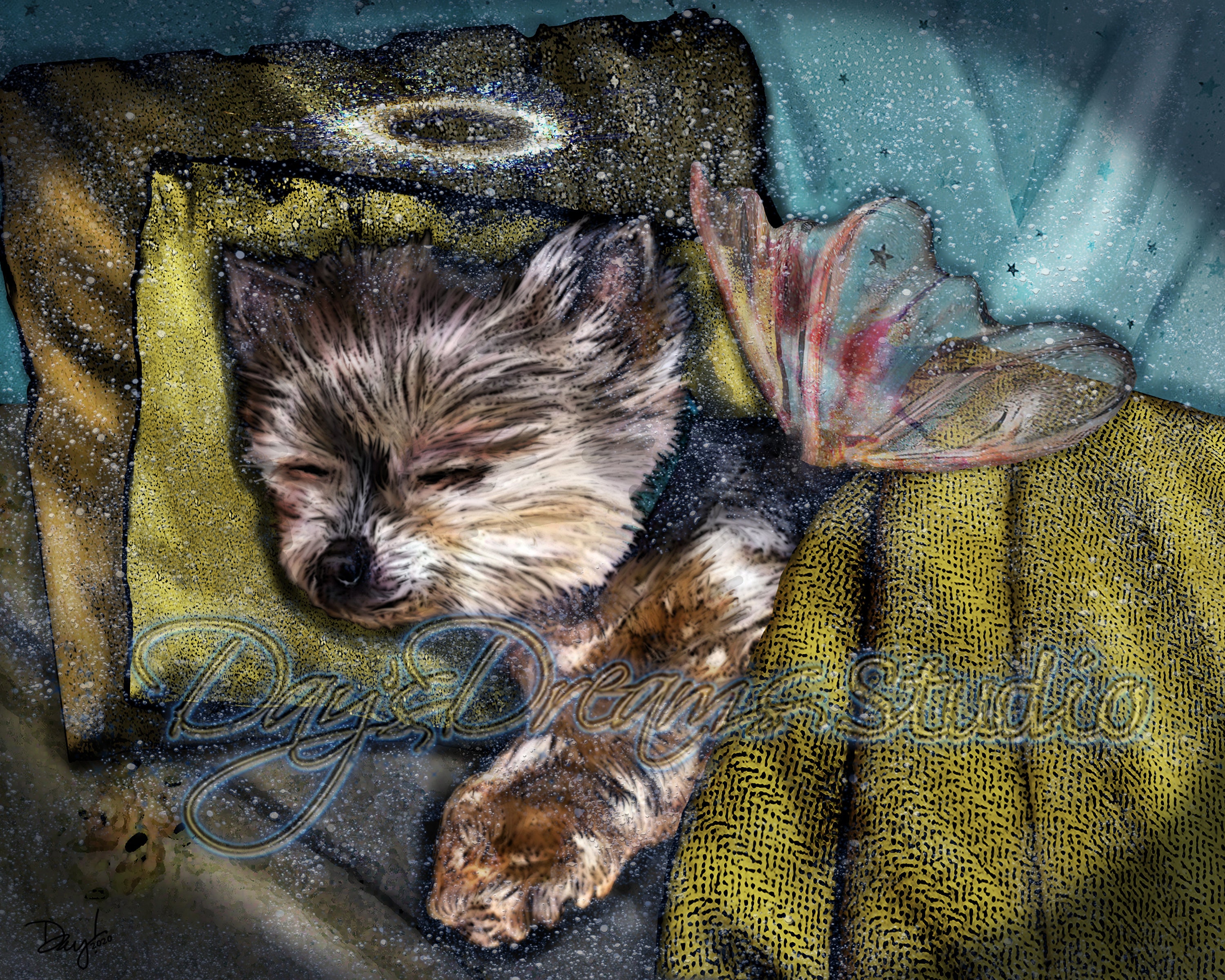 How Many Hours Does A Yorkie Sleep