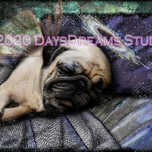 Fawn Pug Memorial Condolence Sympathy Tribute Commemorate Sleeping Angel Wings Halo Rainbow Bridge Pet Loss Wall Art Print Poster or Gift