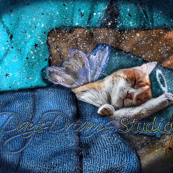 Orange & White Cat Sleeping Angel Wings Halo Pet Loss Memorial Rainbow Bridge Tribute Sympathy Card Wall Art Print Gift Can Be Personalized