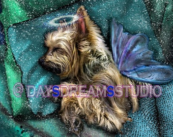 Yorkie Yorkshire Terrier Blue Wing Sleeping Angel Wings Tribute Sympathy Rainbow Bridge Halo Memorial Pet Loss Furbaby Print Poster Gift