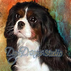 Cavalier King Charles Spaniel CKCS Dog Pop Art Pet Portrait Print Poster Sympathy Tribute Memorial Original Wall Art or Blank Greeting Card