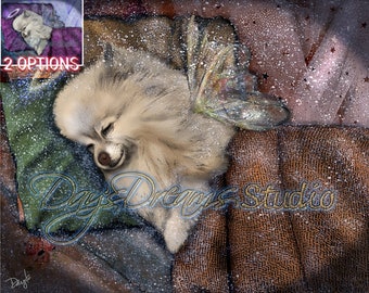 Pomeranian White Cream Pom Sleeping Angel Halo Wings Pet Loss Memorial Rainbow Bridge Tribute Sympathy Grief Card Print Gift | Personalized