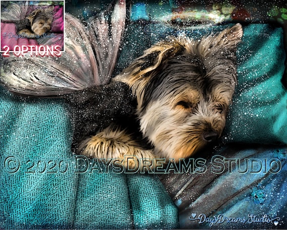 Yorkie Yorkshire Terrier Sleeping Wings Angel Halo Pet Memorial