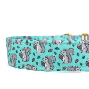 Gettin&#39; Squirrelly Dog Collar - Custom Dog Collar - Martingale - Pet Accessories