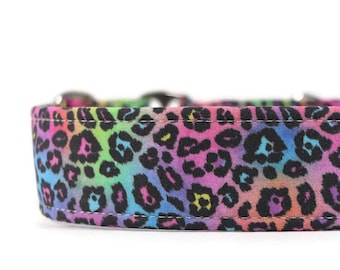 Rainbow Leopard Dog Collar: Martingale, Breakaway Cat Collar