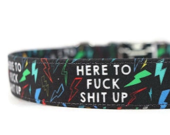 F*ck Shit Up Lightning Dog Collar - Custom Dog Collar - Pet Accessories