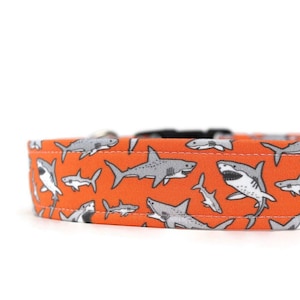 Great White Sharks on Orange Dog Collar - Martingale - Custom Dog Collar - Pet Accessories